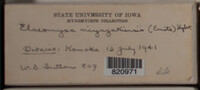 Image Associated With the Occurence